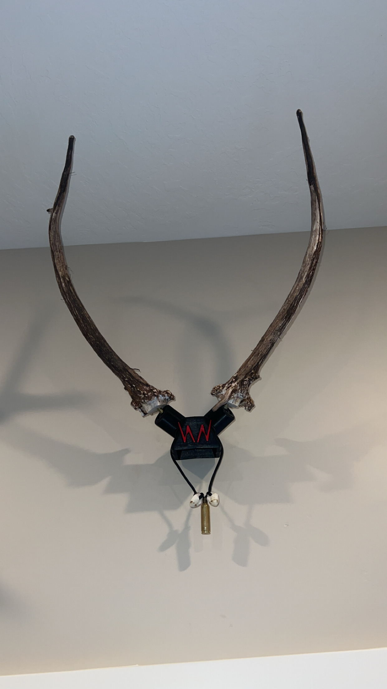 Spike elk antlers mounted using Horn Hook