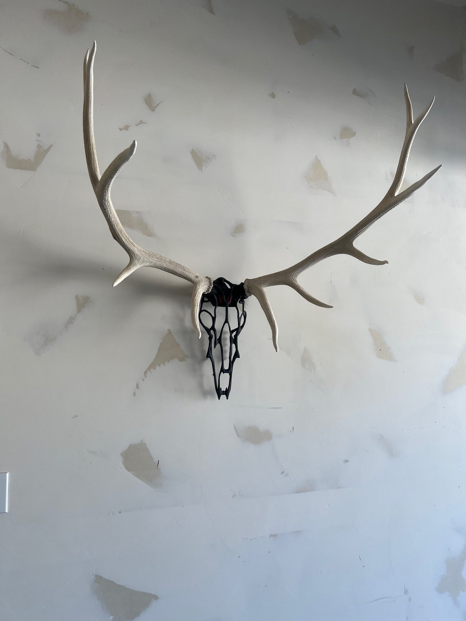 Large elk antlers mounted using Horn Hook