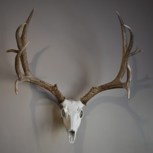 Horn Hook 2.0 - DEER