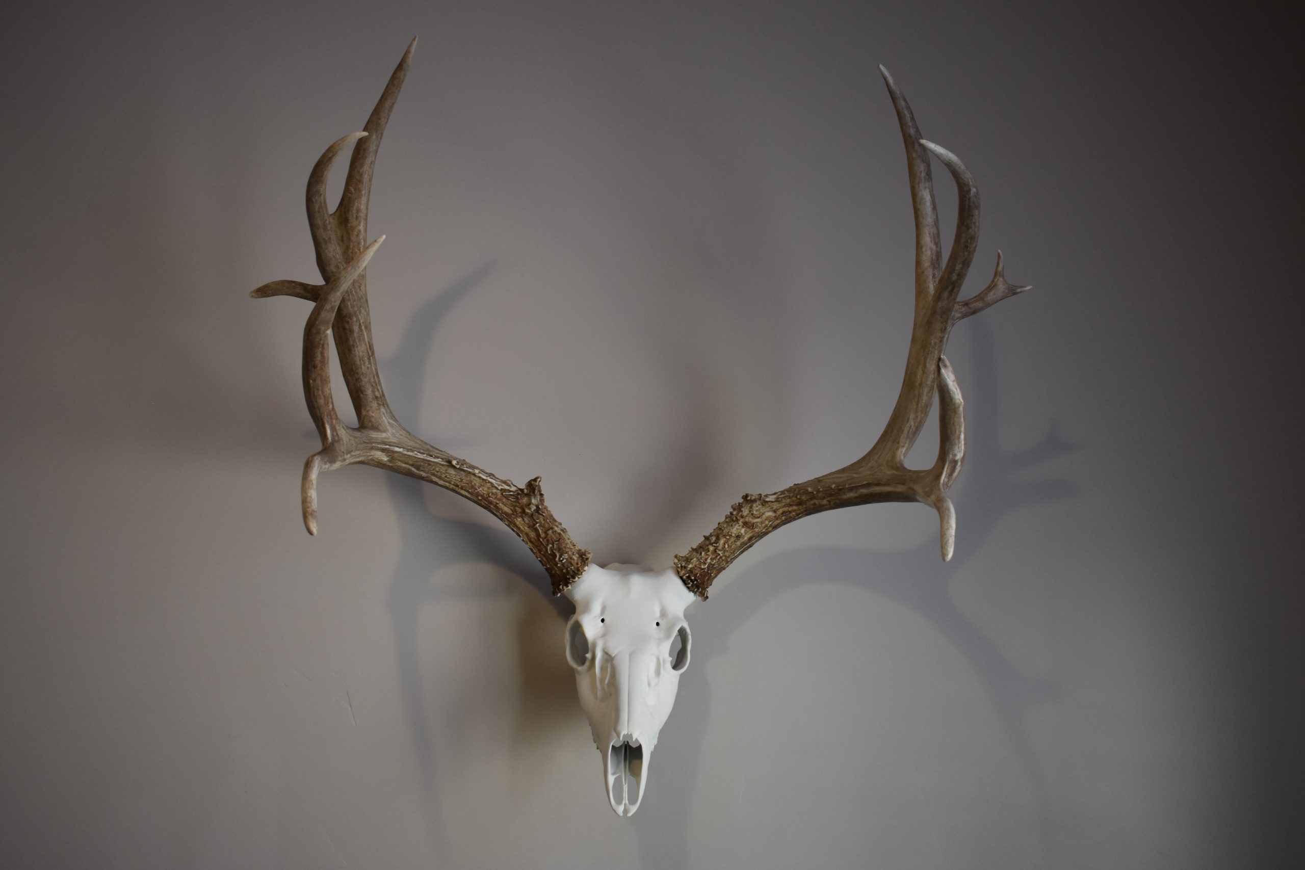 Horn Hook 2.0 - DEER