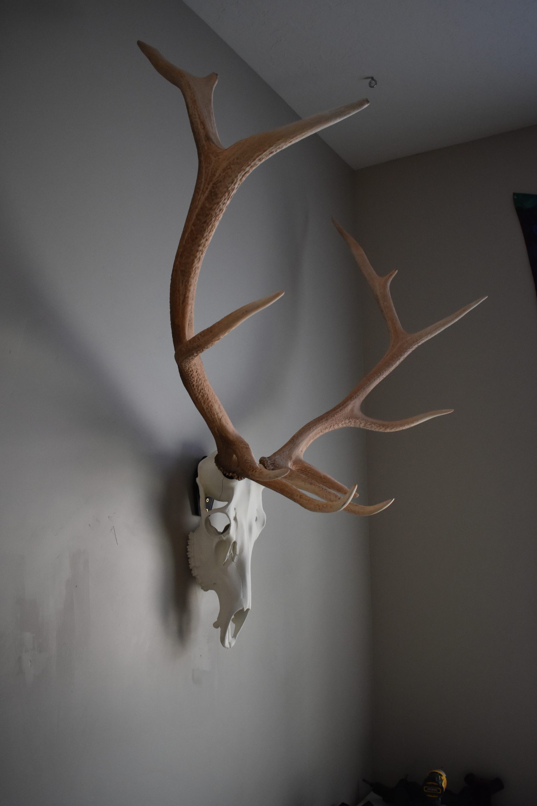 Horn Hook 2.0 - ELK